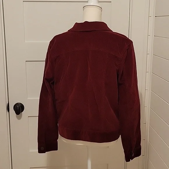 Jacket - Picture 2 of 3